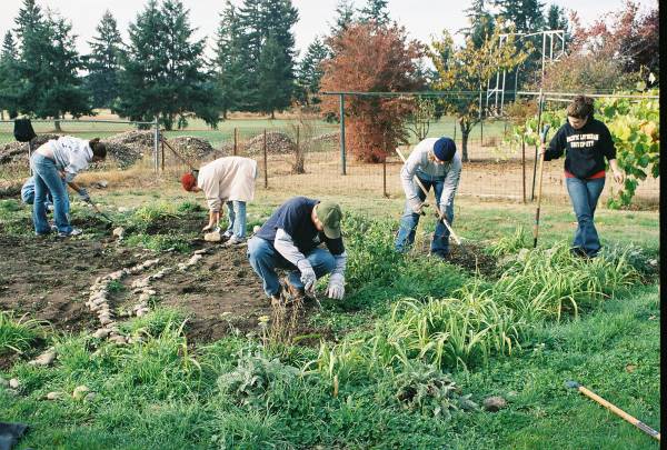 Community Gardening: Back to Our Roots.