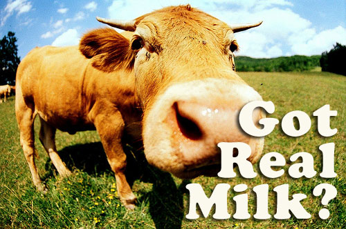 Got Milk? A guide to finding fresh milk.